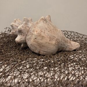 Coastal Conch Shell Accent Sculpture in Cream-White